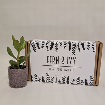 Plant Your Own Succulent Kit, 2 of 12