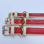 Handmade Italian Leather Padded Red Dog Puppy Collar, thumbnail 4 of 7