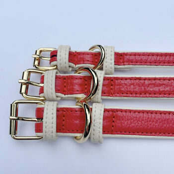 Handmade Italian Leather Padded Red Dog Puppy Collar, 4 of 7