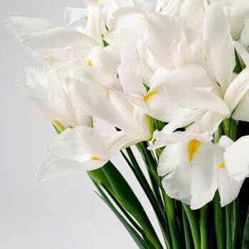 Polar White Iris Fresh Flower Bouquet, 3 of 3