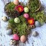 Natural Spring Floristry Display And Crafts Box Easter, thumbnail 10 of 10