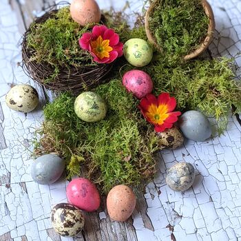 Natural Spring Floristry Display And Crafts Box Easter By The Danes