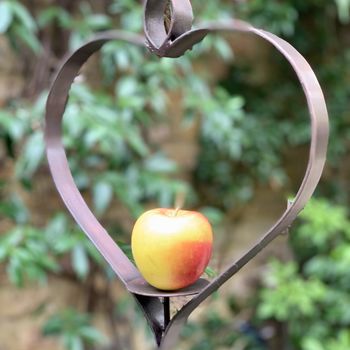 Heart Apple Bird Feeder Ltzaf085, 6 of 6