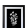 Nine Framed Botanical Wall Art Prints, thumbnail 6 of 12