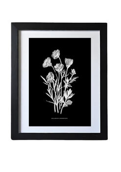 Nine Framed Botanical Wall Art Prints, 6 of 12