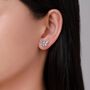 Sterling Silver Death's Head Hawkmoth Moth Stud Earrings, thumbnail 2 of 12