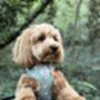 Heart Of Sage Adjustable Dog Harness, thumbnail 8 of 8