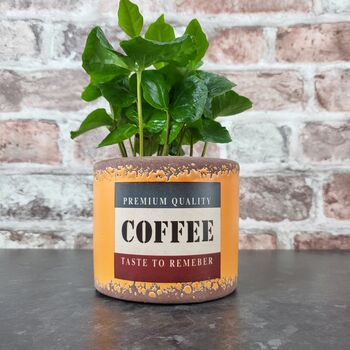 Retro Coffee Houseplant Pot Gift Surprise Plant, 6 of 10