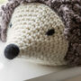 Horace The Hedgehog Crochet Kit, thumbnail 6 of 11