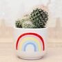 Chasing Rainbows Mini Planter With A Plant, thumbnail 2 of 5