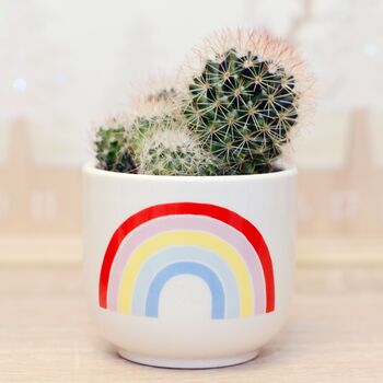 Chasing Rainbows Mini Planter With A Plant, 2 of 5