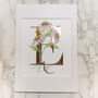E Is For Echinacea Gilded Initial Print, thumbnail 2 of 7