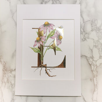 E Is For Echinacea Gilded Initial Print, 2 of 7