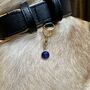 Sapphire Owner Necklace And Pet Collar Charm Set, thumbnail 5 of 8