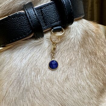 Sapphire Owner Necklace And Pet Collar Charm Set, 5 of 8