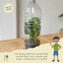 Children's Eco Activity Box Totally Tropical Rainforest, thumbnail 6 of 12