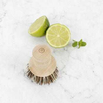 Sustainable Wood Pot Brush With Plant Bristles, 4 of 5
