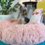 Pink Anxiety Reducing Plush Bed With Plush Pig Toy, thumbnail 2 of 6
