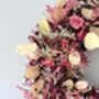 Dried Acer Wreath With Honesty Seedheads, thumbnail 4 of 4