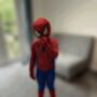 Realistic Kids Spiderman Fancy Dress Costume, thumbnail 3 of 8