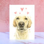 Yellow Labrador Licks And Kisses Greetings Card, thumbnail 1 of 1