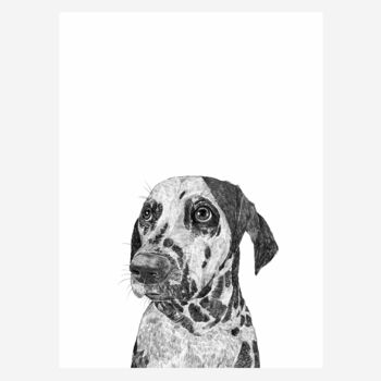 Dalmatian Dog Portrait Print, 2 of 3