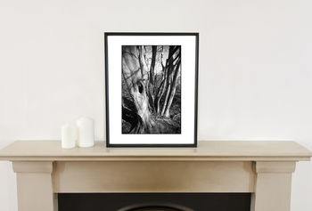 Shadowed Tree, Suffolk Photographic Art Print, 2 of 4