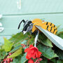 Build Your Own Personalised Honey Bee Kit, thumbnail 3 of 12