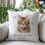 Personalised Tabby Bramble Cat Love Hearts Cushion Cover, thumbnail 2 of 2