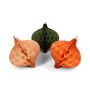 Honeycomb Onion Earth Pack Of Three, 12cm, thumbnail 1 of 5