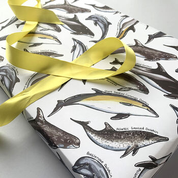 Dolphin Species Wrapping Paper Set, 5 of 10