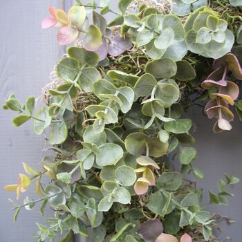 Eucalyptus Heart Wreath For Wall Or Door, 2 of 3