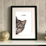 Personalised Cat Portrait Colour Illustration, thumbnail 4 of 6