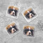Set Of Four Watercolour Pet Portrait Coasters, thumbnail 4 of 11