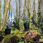 Pair Of Petite Kitty Cat Silhouette Plant Pots, thumbnail 3 of 6