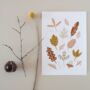 Autumn Special Forest Finds Children's Art Print, thumbnail 1 of 4