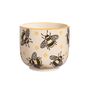 Busy Bee Small Planter With Choice Of Plants, thumbnail 2 of 2