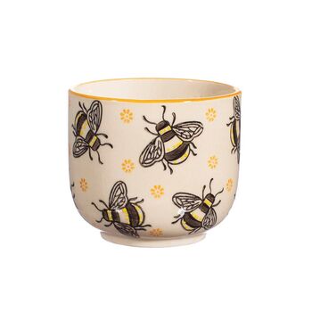 Busy Bee Small Planter With Choice Of Plants, 2 of 2