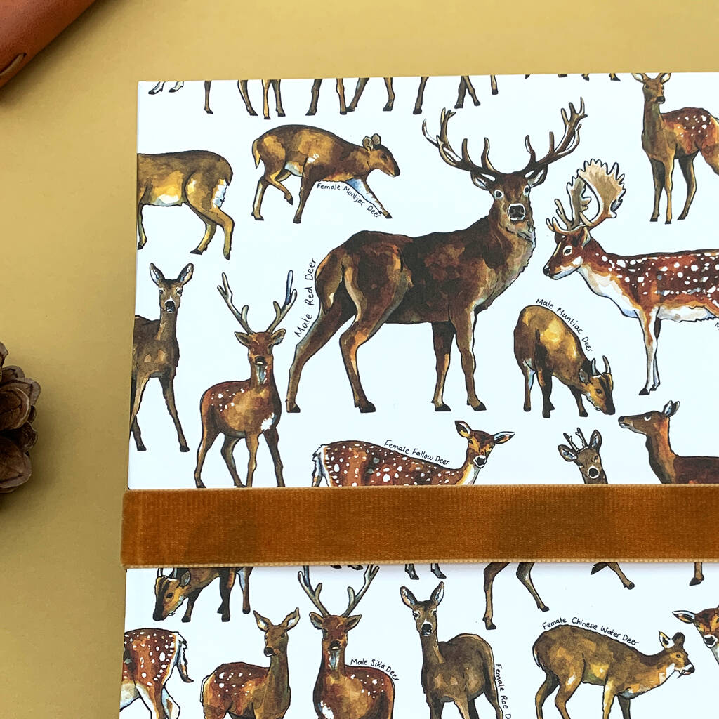 Deer And Stag Wrapping Paper Set By Alexia Claire | notonthehighstreet.com