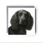 Spaniel Dog Hand Drawn Greeting Card, thumbnail 5 of 5