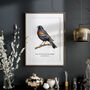 Red Winged Blackbird Wall Print, thumbnail 4 of 5