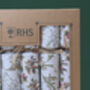 Plantable Christmas Crackers, thumbnail 3 of 4