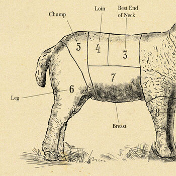 British Butcher Chart, Meat Cuts Diagram, 3 of 8