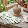 Beginner's Gardening Tools Gift Set, thumbnail 1 of 6