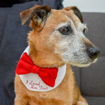 Personalised Dog Bow Tie Wedding Bandana, 9 of 12