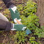 Personalised Leather Gardening Gloves, thumbnail 8 of 8