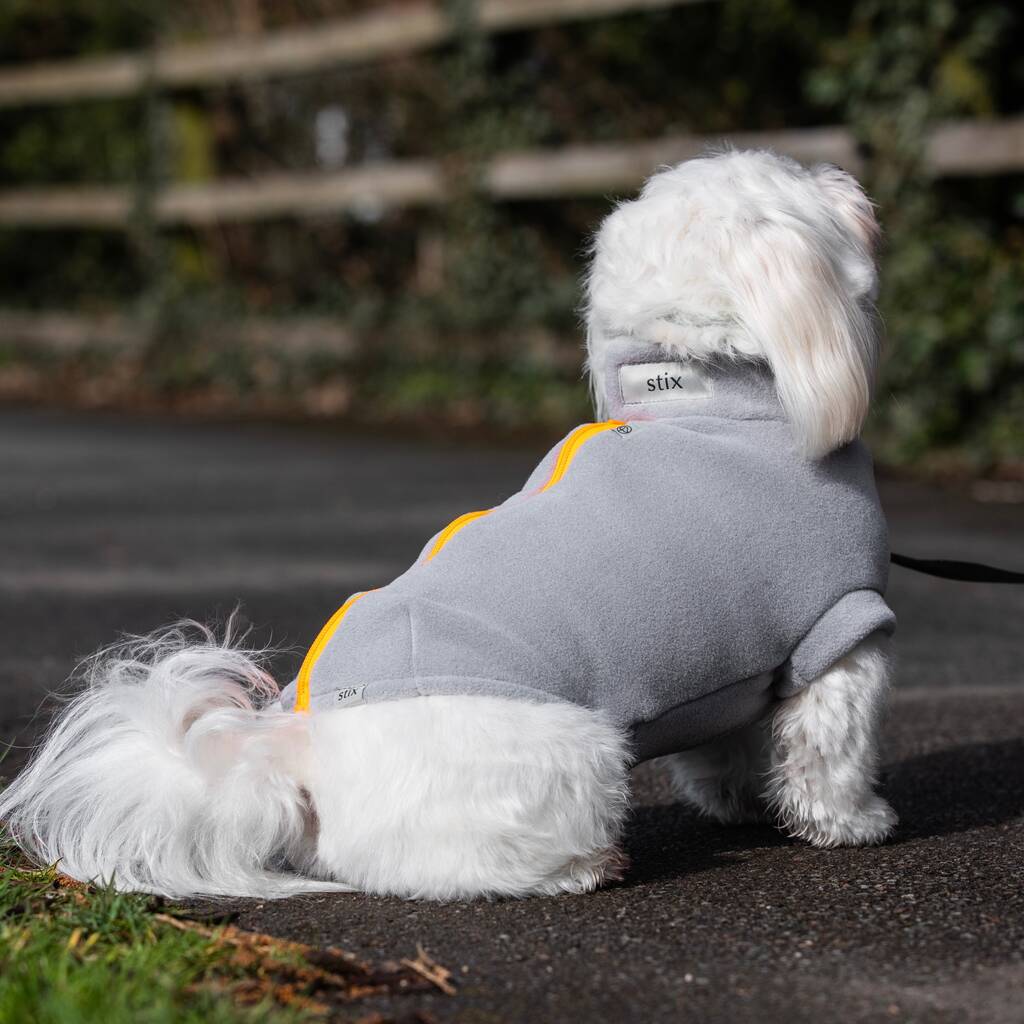 polar tech dog fleece