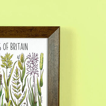Grasses Of Britain Wildlife Print, 7 of 9