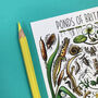 Pond Life Of Britain Watercolour Postcard, thumbnail 8 of 9