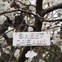 Sweet Dreams Nursery Sign Door Plaque With Sleepy Cloud, thumbnail 2 of 3